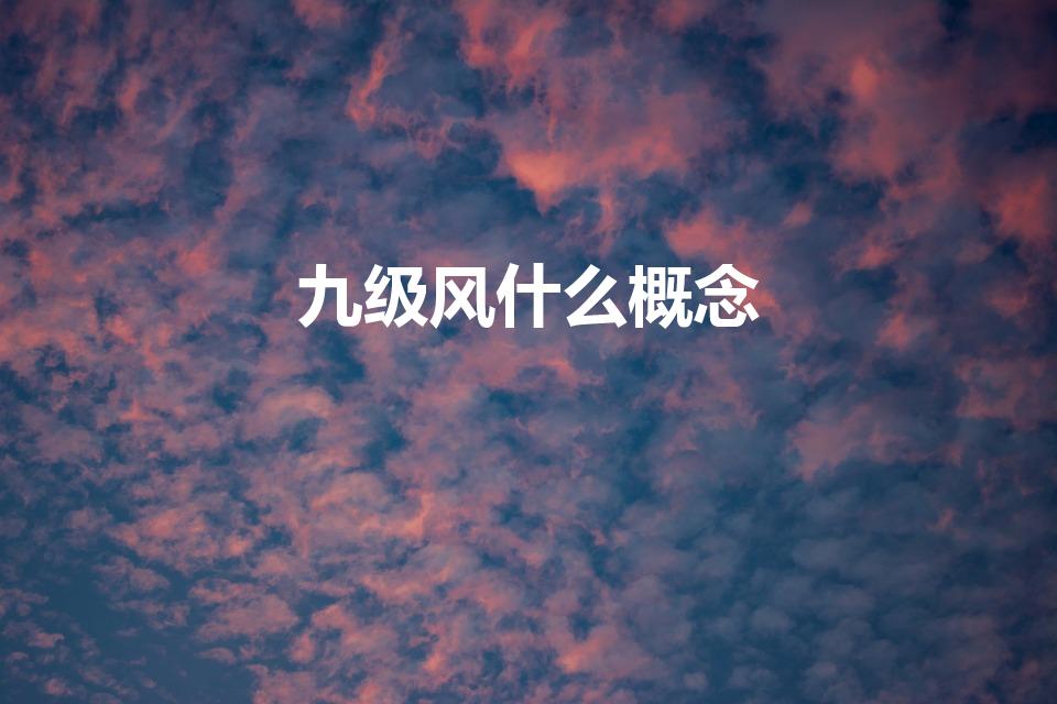 九级风什么概念（九级大风是什么概念）