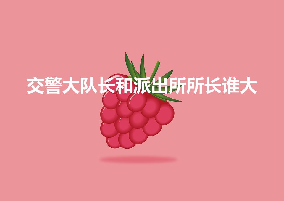 交警大队长和派出所所长谁大