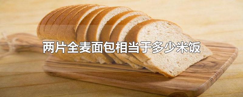 全麦面包和米饭哪个热量高（全麦面包与米饭的热量对比）