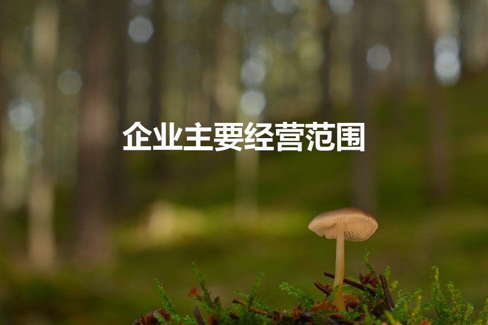 企业主要经营范围（企业主要经营范围怎么写）