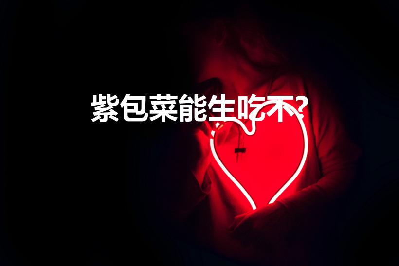 紫包菜能生吃不?（紫包菜可以生吃吗）