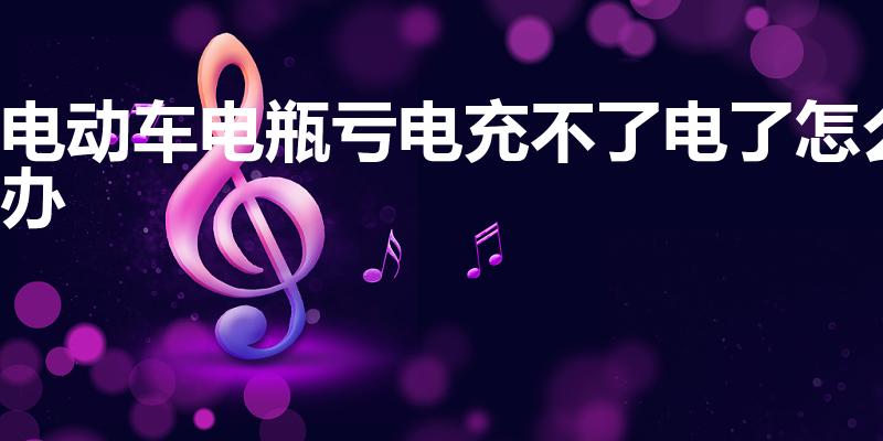 电动车电瓶亏电充不了电了怎么办