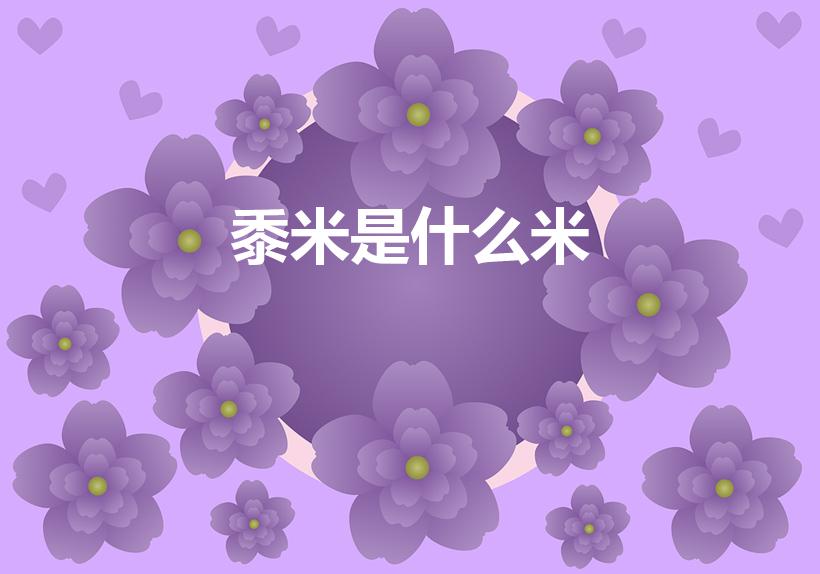 黍米是什么米（黍米指的是什么米）