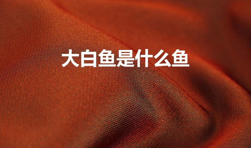 大白鱼是什么鱼（白鱼是海鱼还是淡水鱼）