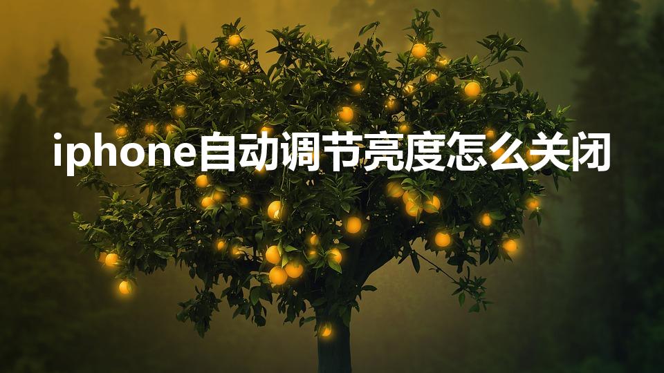 iphone自动调节亮度怎么关闭（苹果自动亮度怎么关）