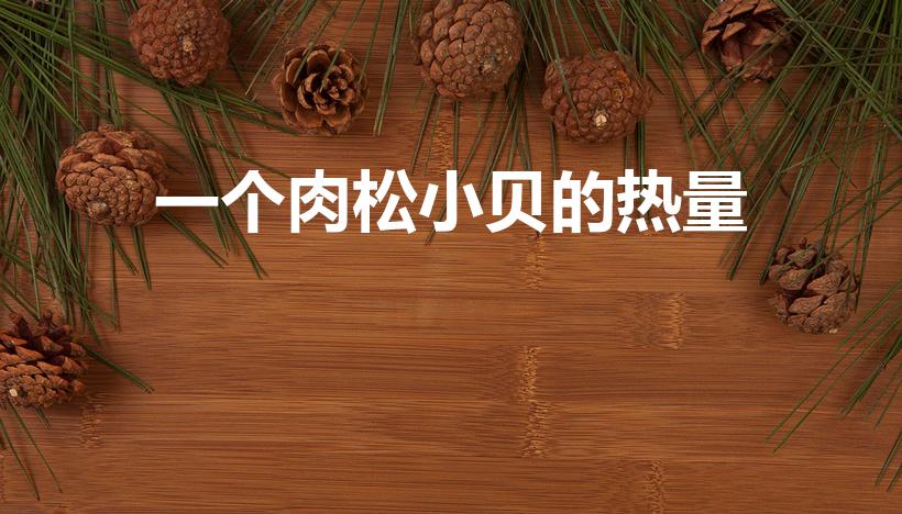 一个肉松小贝的热量（肉松小贝热量是多少）