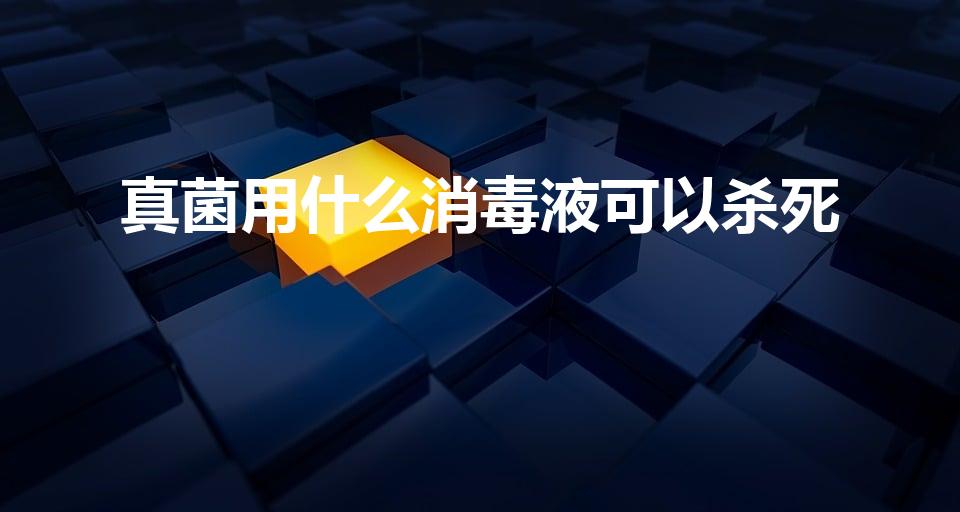 真菌用什么消毒液可以杀死（哪种消毒液能杀死真菌）