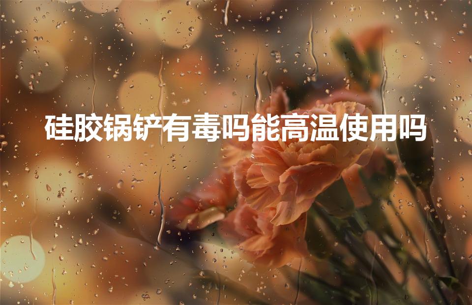 硅胶锅铲有毒吗能高温使用吗（硅胶铲子遇高温有毒么）