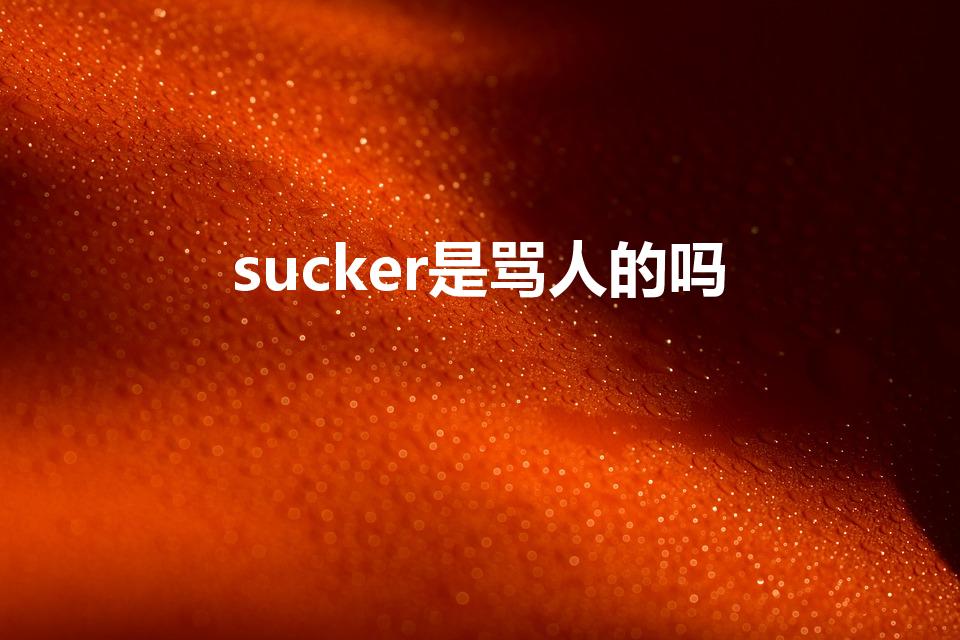 sucker是骂人的吗（sucker什么意思）