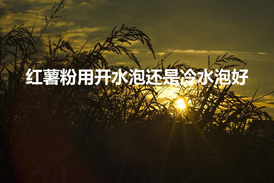 红薯粉用开水泡还是冷水泡好（和红薯粉用冷水还是热水）