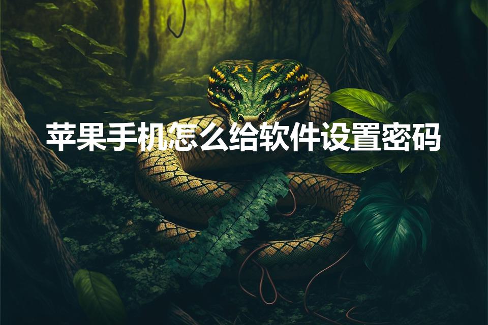 苹果手机怎么给软件设置密码（苹果怎么给软件加密码）