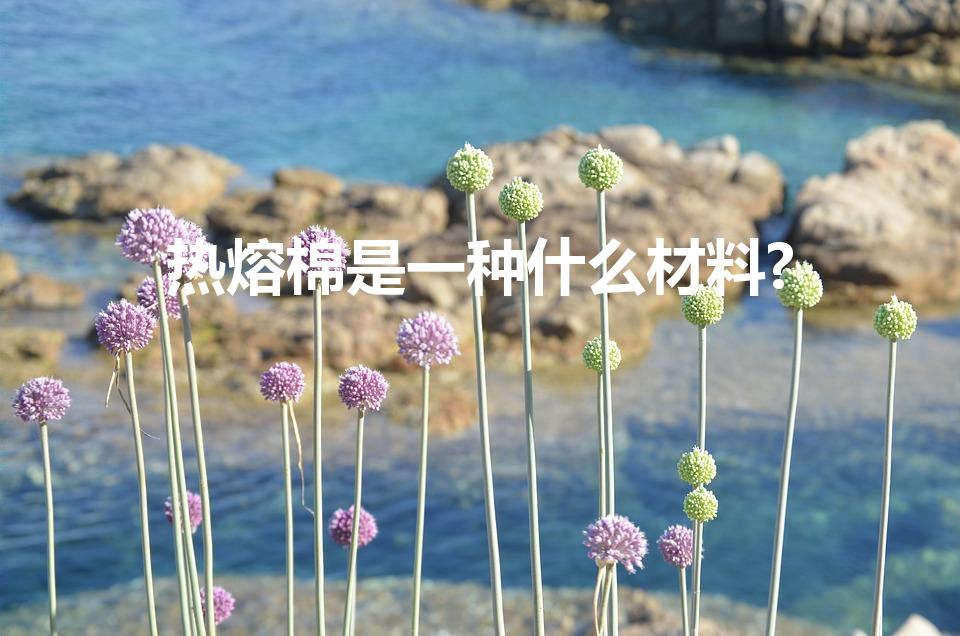 热熔棉是一种什么材料?（热熔棉是什么）