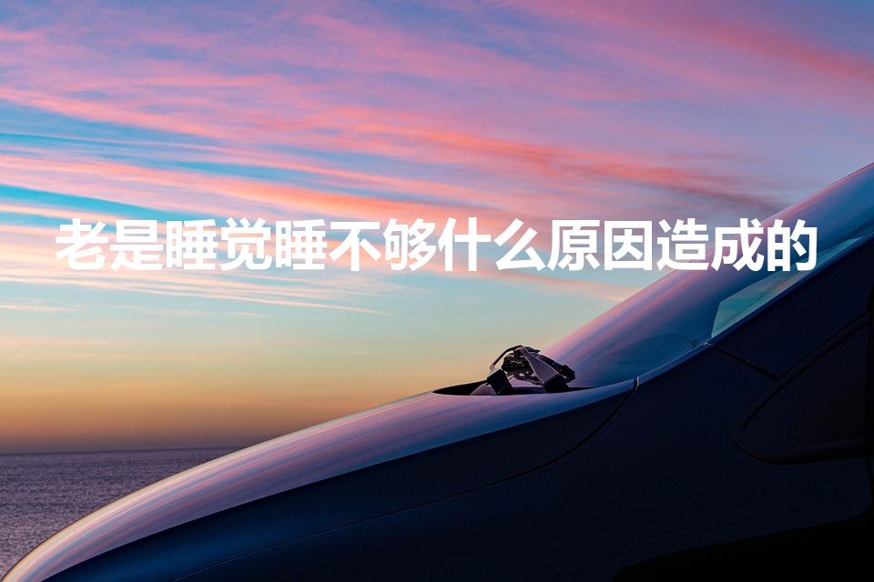 老是睡觉睡不够什么原因造成的（睡眠不足是什么引起的）