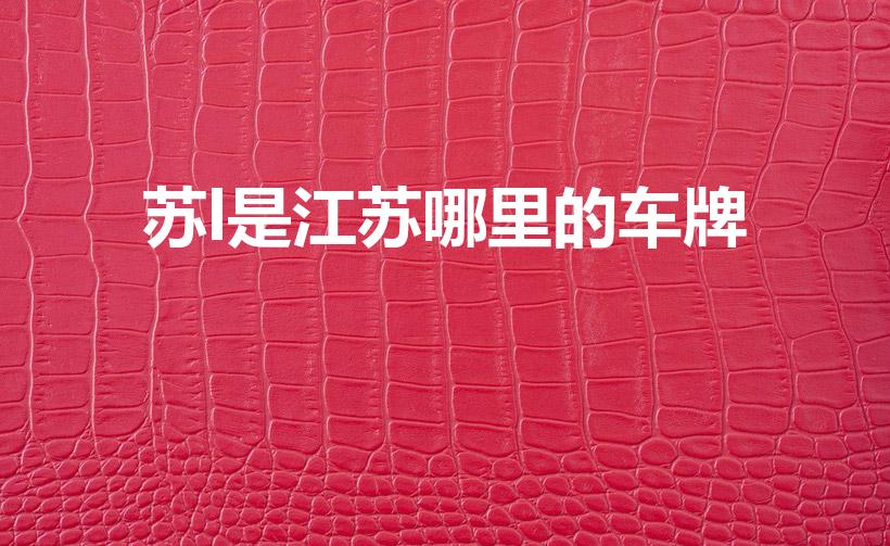 苏l是江苏哪里的车牌（苏l是哪里的车牌）