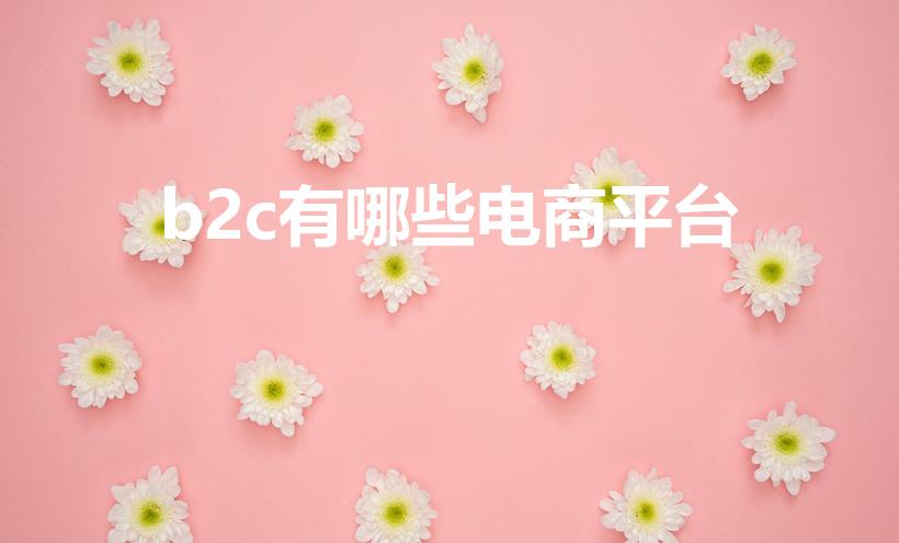 b2c有哪些电商平台（b2c电子商务平台有哪些）