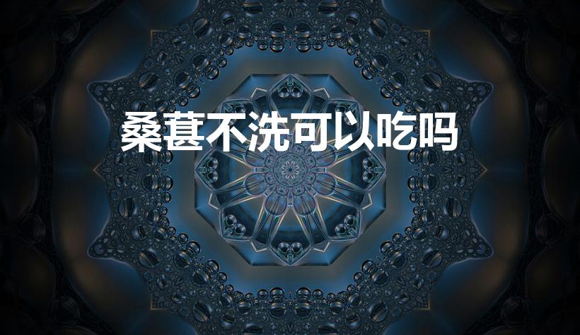 桑葚不洗可以吃吗（吃桑葚用不用洗）