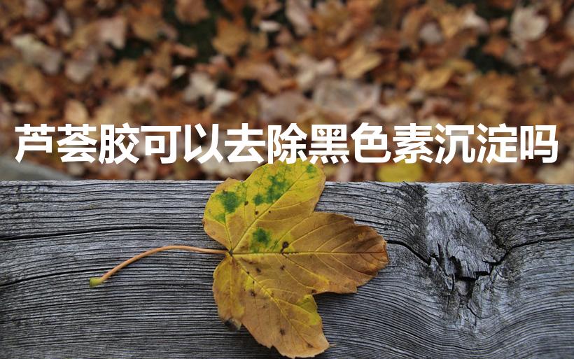 芦荟胶可以去除黑色素沉淀吗（芦荟胶对色素沉着有效果吗）