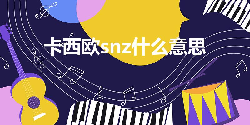 卡西欧snz什么意思（snz手表上的是什么意思）