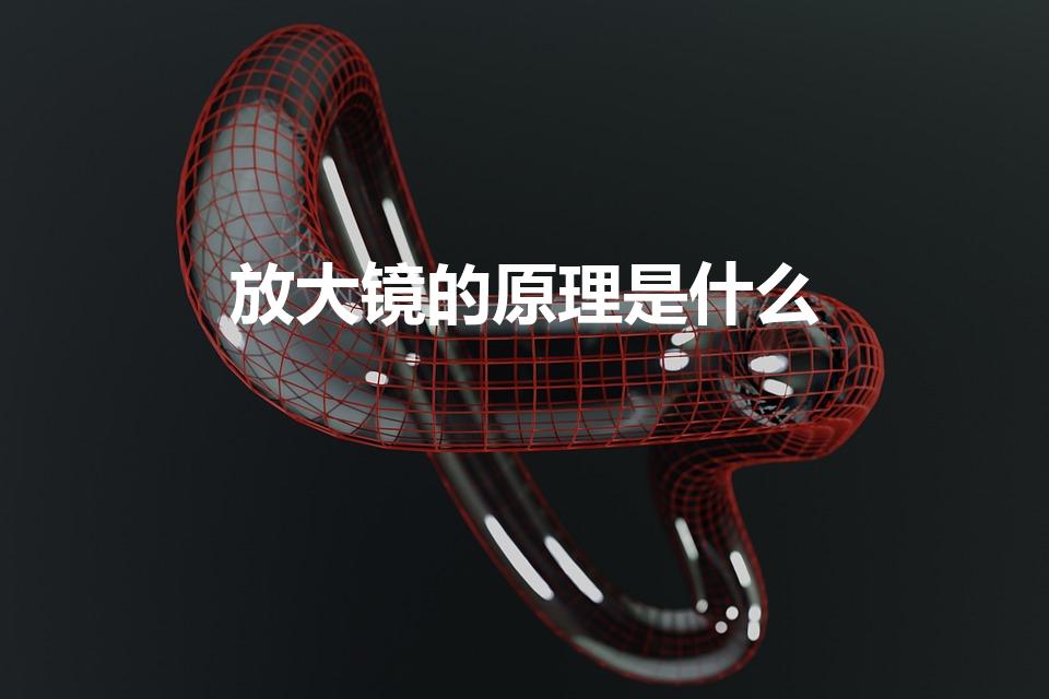 放大镜的原理是什么（放大镜的原理是什么呢）