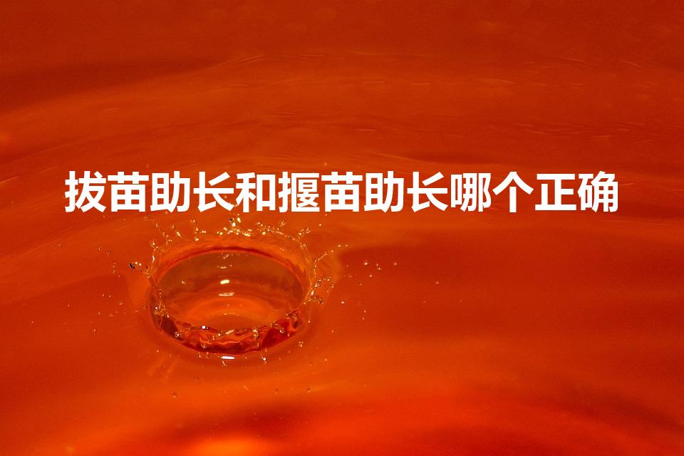 拔苗助长和揠苗助长哪个正确（揠苗助长还是拔苗助长）