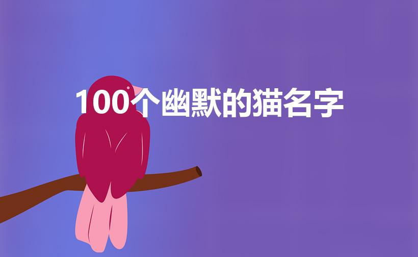 100个幽默的猫名字（好听的猫咪名字100个）