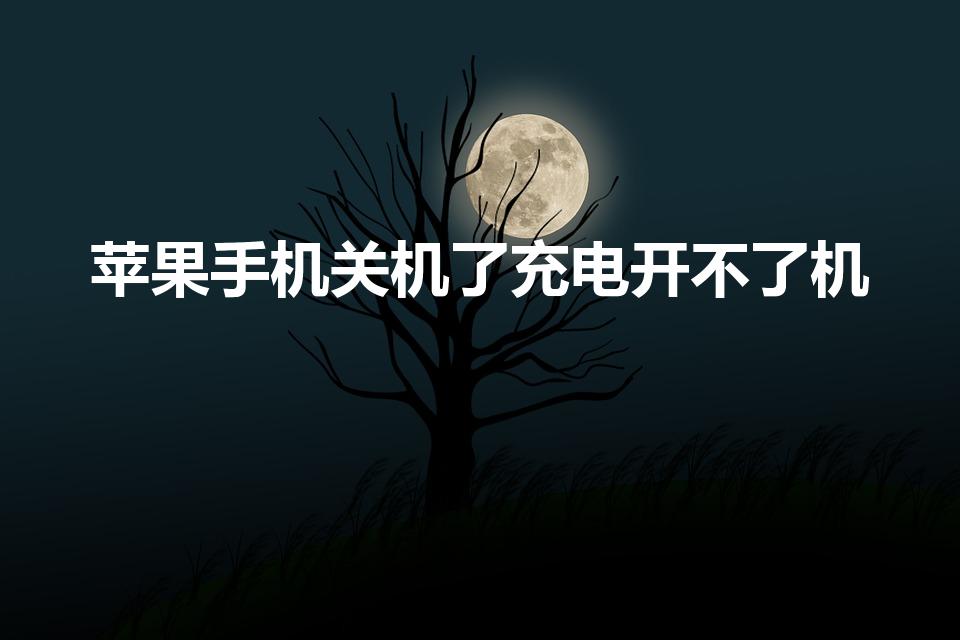 苹果手机关机了充电开不了机