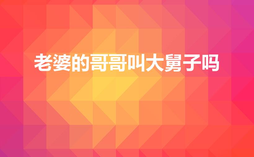 老婆的哥哥叫大舅子吗（媳妇的哥哥应该叫什么）