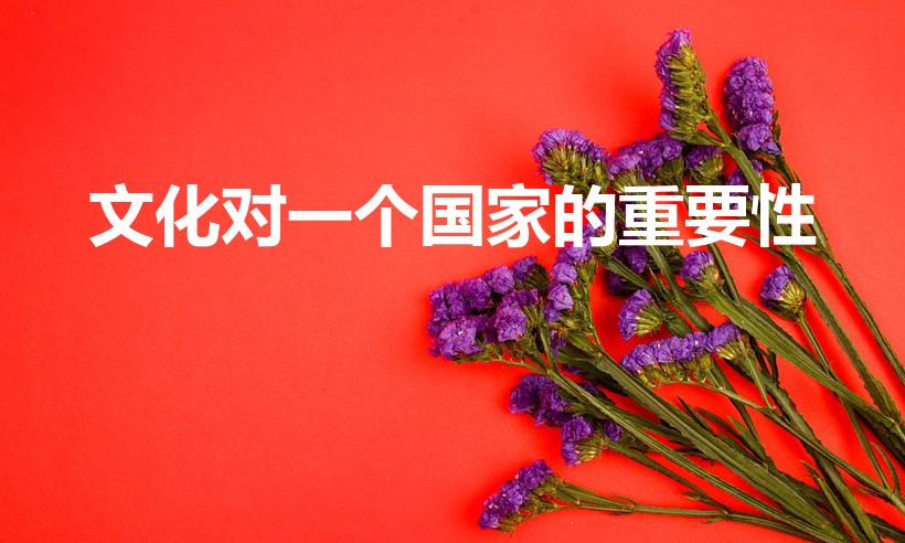 文化对一个国家的重要性（文化对一个国家而言有那么重要吗）