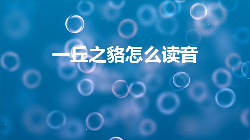 一丘之貉怎么读音（“一丘之貉”怎么读）