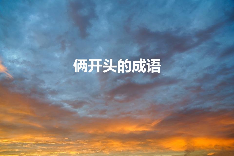 俩开头的成语（俩的开头成语）