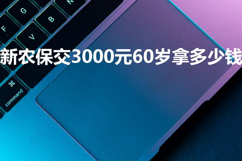 新农保交3000元60岁拿多少钱