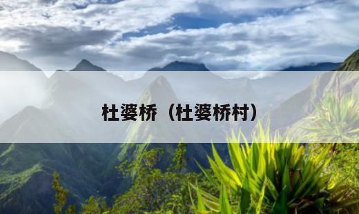 杜婆桥？杜婆桥村