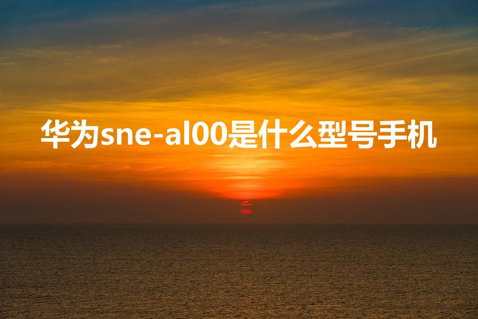 华为sne-al00是什么型号手机（sne手机原型）