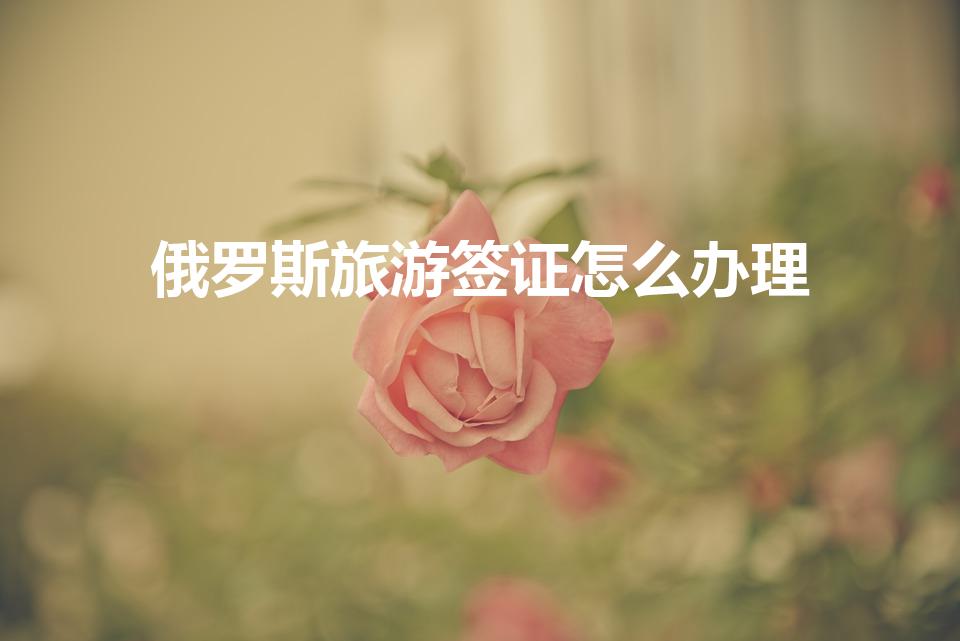 俄罗斯旅游签证怎么办理（怎么办去俄罗斯的签证）