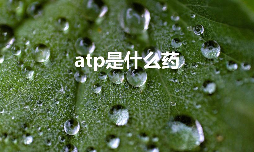 atp是什么药（你好请问ATP药片是怎么药）