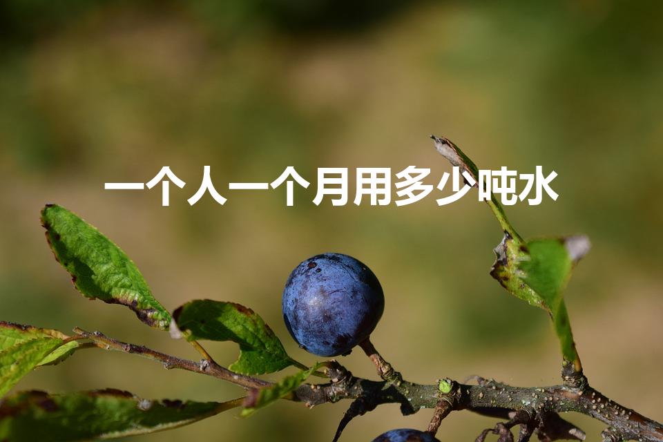 一个人一个月用多少吨水（一个人一个月用几吨水）