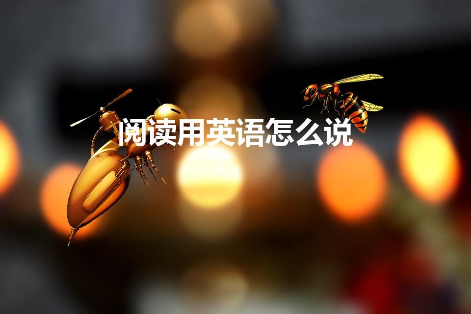 阅读用英语怎么说（阅读的英文）