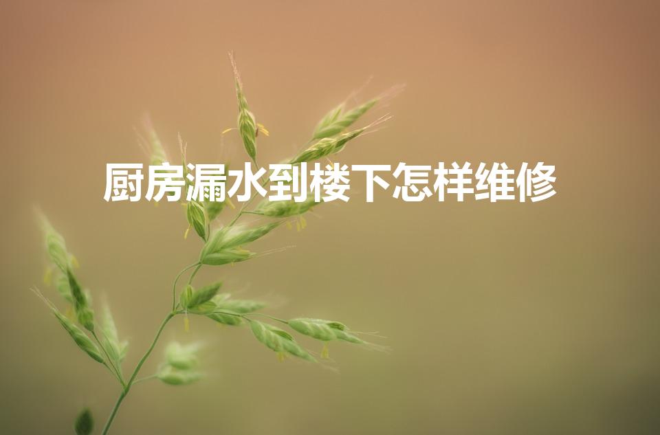 厨房漏水到楼下怎样维修（楼房厨房往楼下渗水该怎么办）