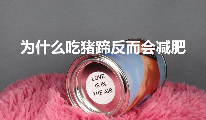 为什么吃猪蹄反而会减肥