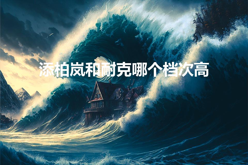 添柏岚和耐克哪个档次高（这个是什么牌子的鞋）