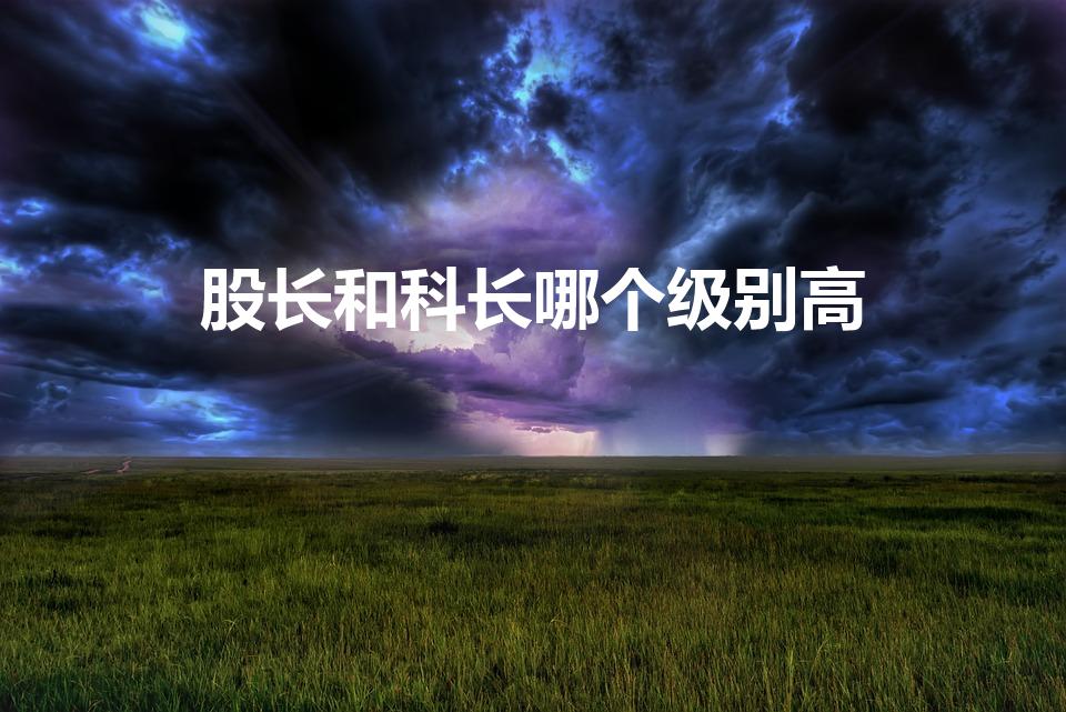 股长和科长哪个级别高（股级和科级的区别是什么）