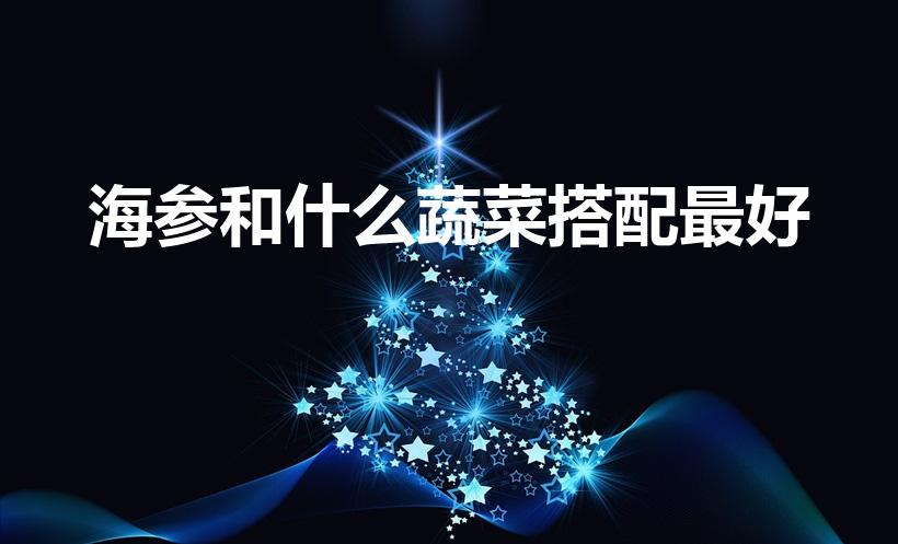 海参和什么蔬菜搭配最好（海参可以和哪些蔬菜一起煮粥）
