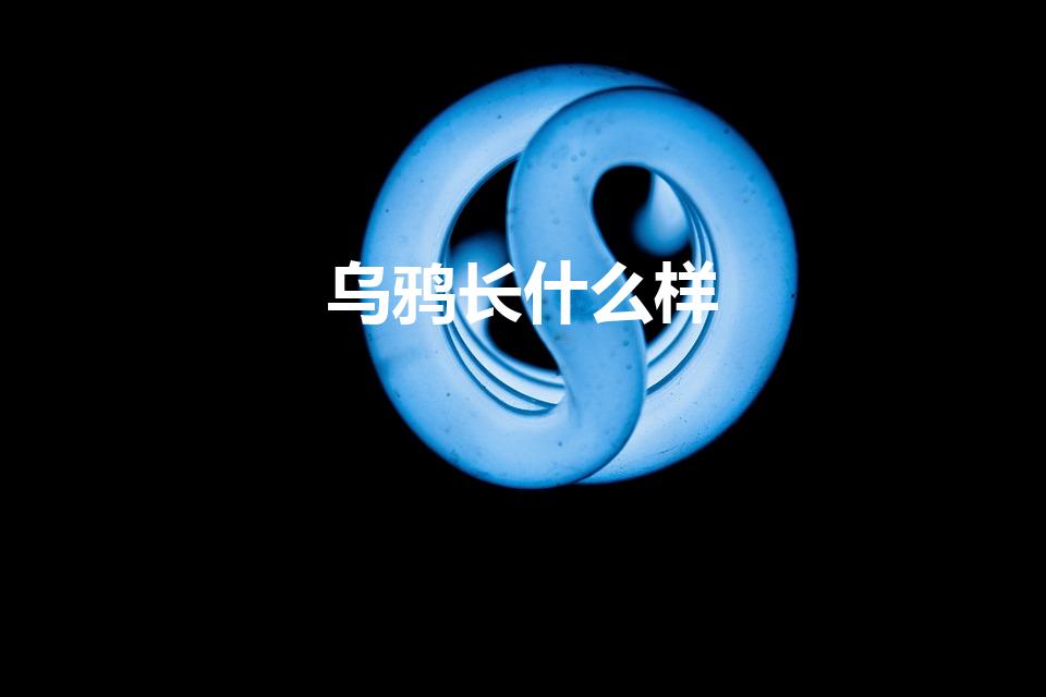 乌鸦长什么样（乌鸦长什么样子）