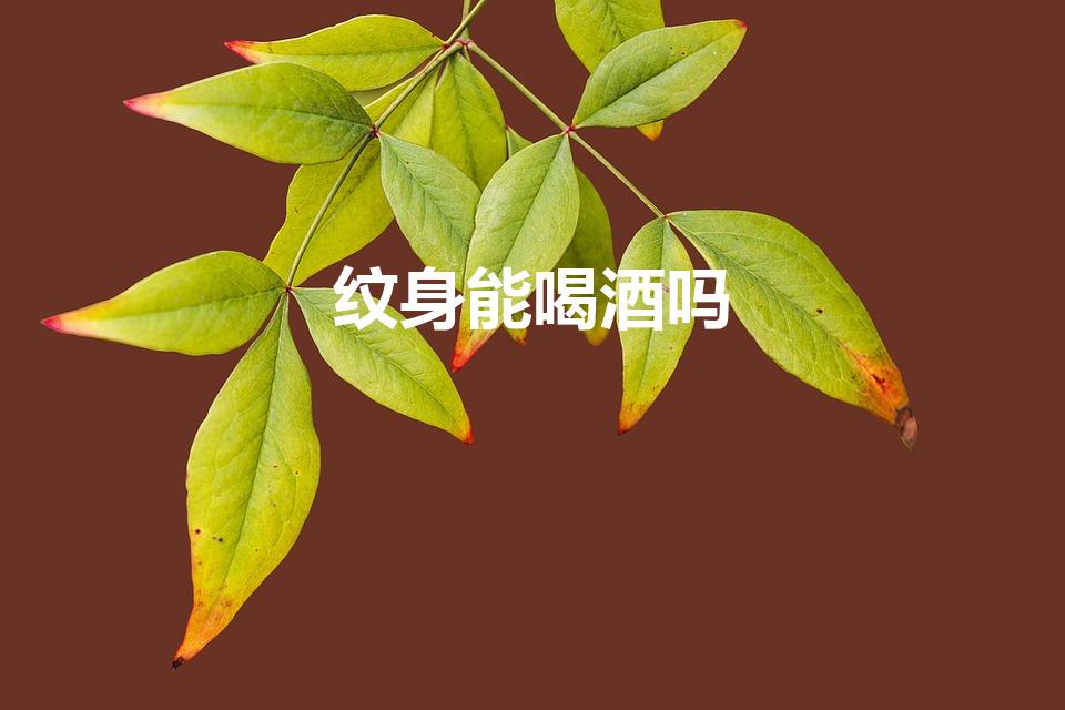 纹身能喝酒吗（纹身喝酒有什么影响）
