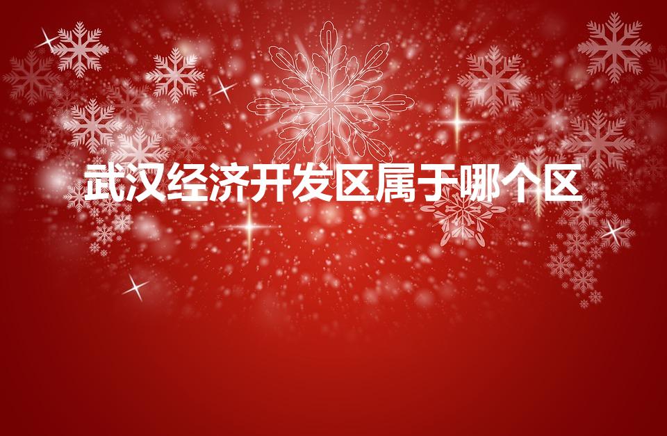 武汉经济开发区属于哪个区（武汉经济技术开发区属于哪个区）
