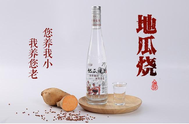 地瓜烧酒为什么不受欢迎（地瓜烧酒的受欢迎度为何较低）