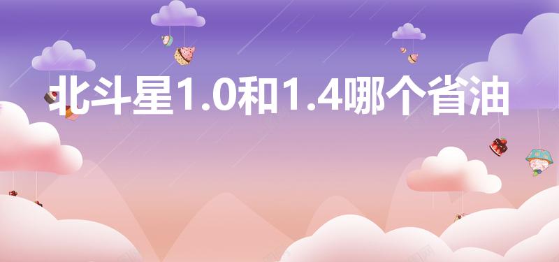 北斗星1.0和1.4哪个省油(北斗星10和14哪个省油)