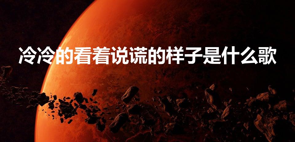 冷冷的看着说谎的样子是什么歌
