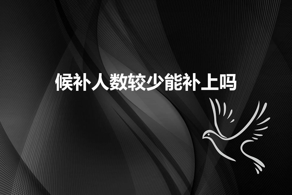 候补人数较少能补上吗（候补人数较少是什么意思）