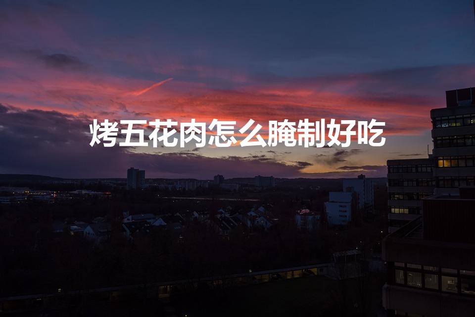 烤五花肉怎么腌制好吃（家庭烤五花肉的腌制方法）